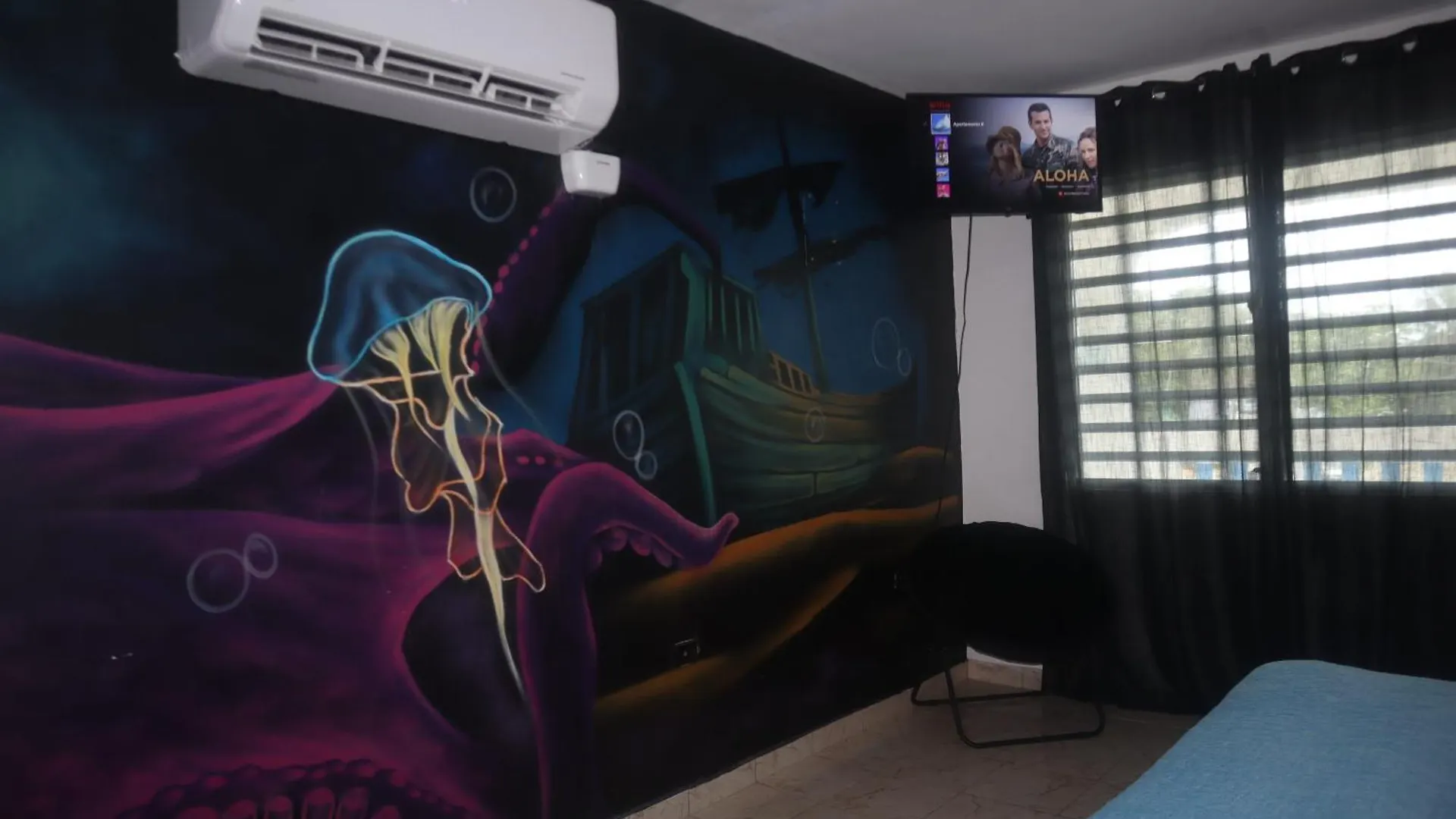 Octopus Oasis Aguada Puerto Rico
