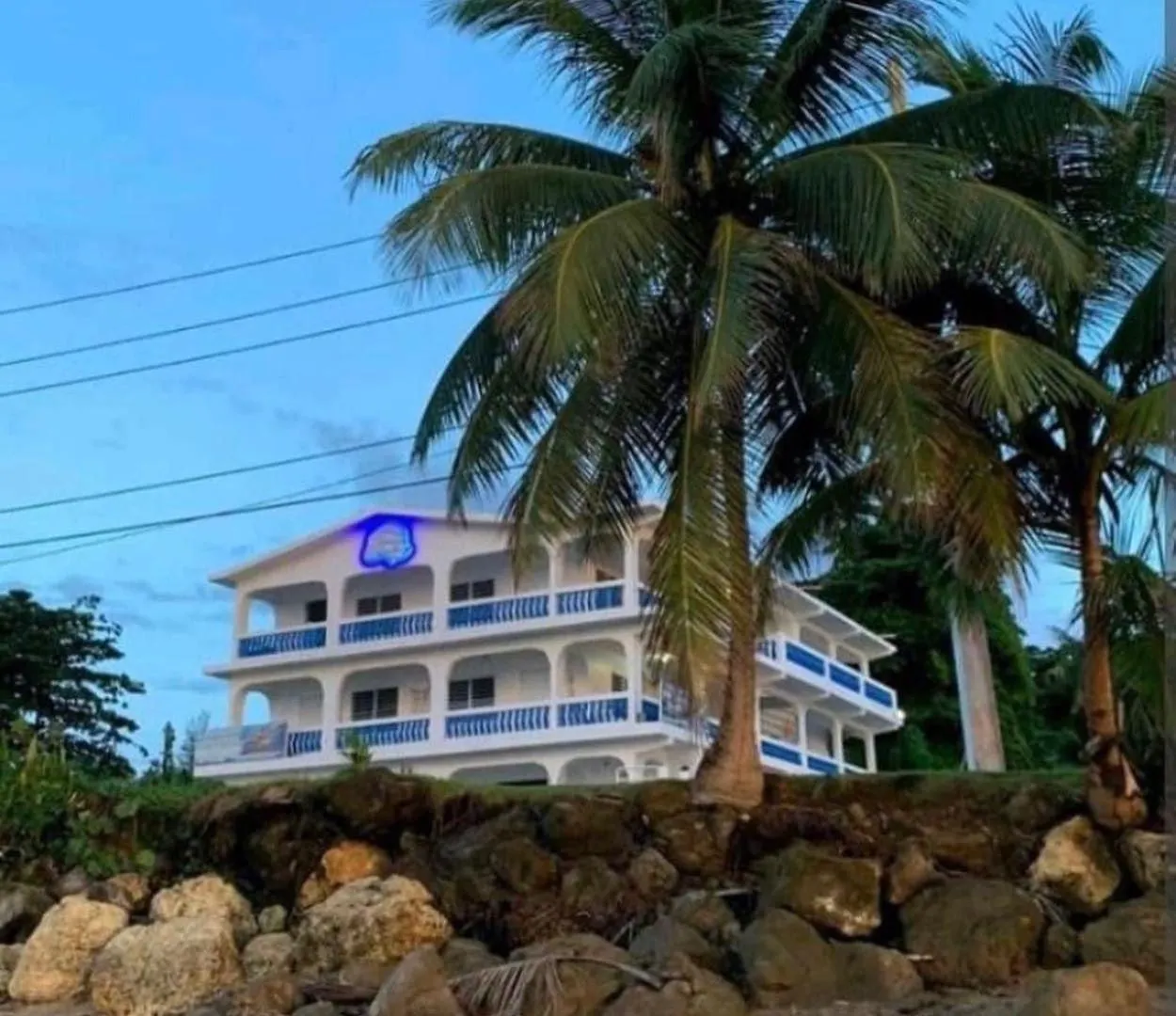 Octopus Oasis Aguada